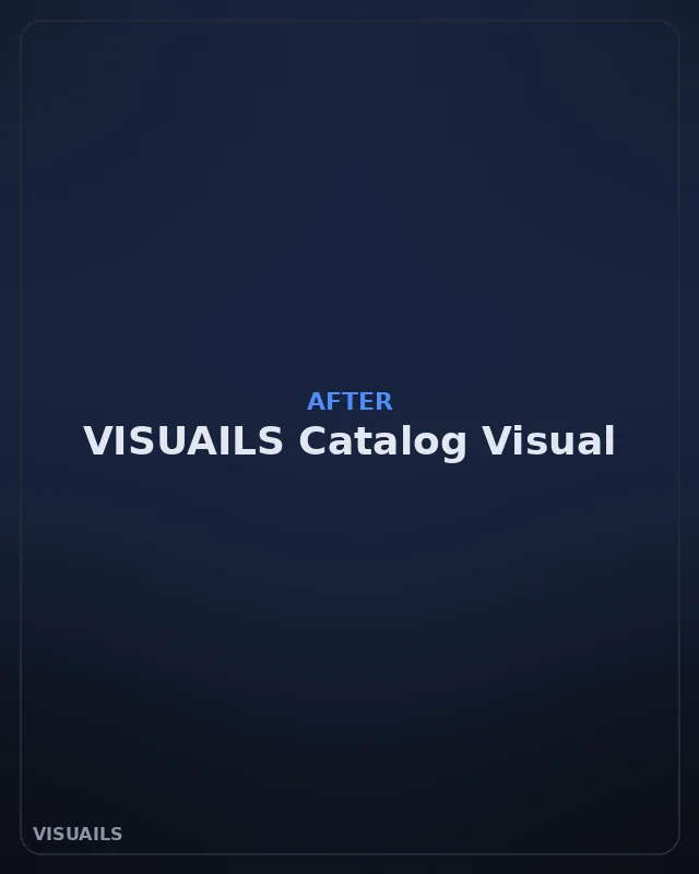Finished VISUAILS Catalog Images visual after transformation